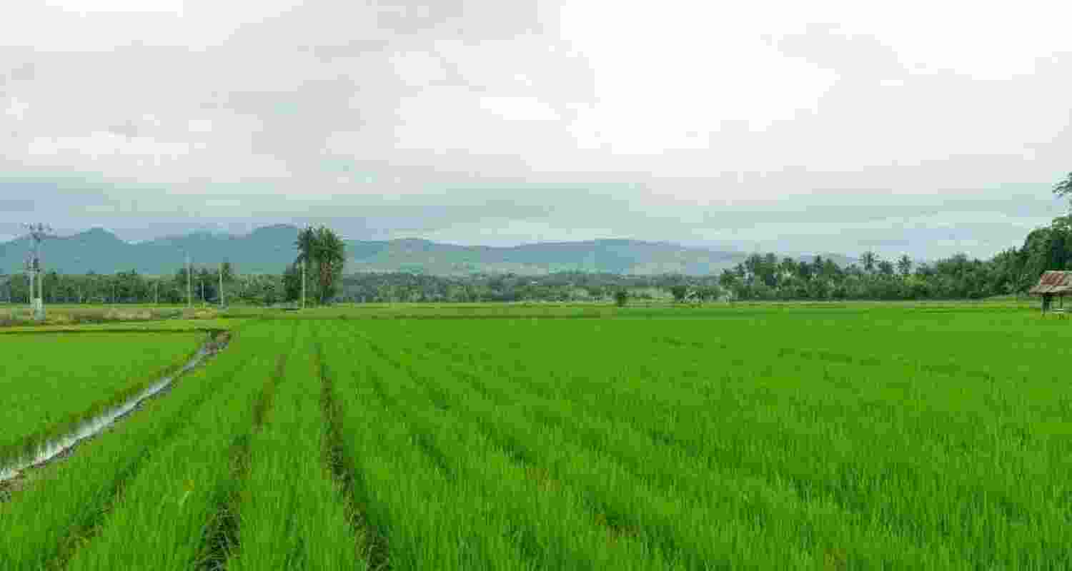 Representative Image. 