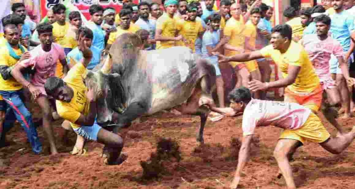 Three dead, 75 injured at ‘Manjuvirattu’ 