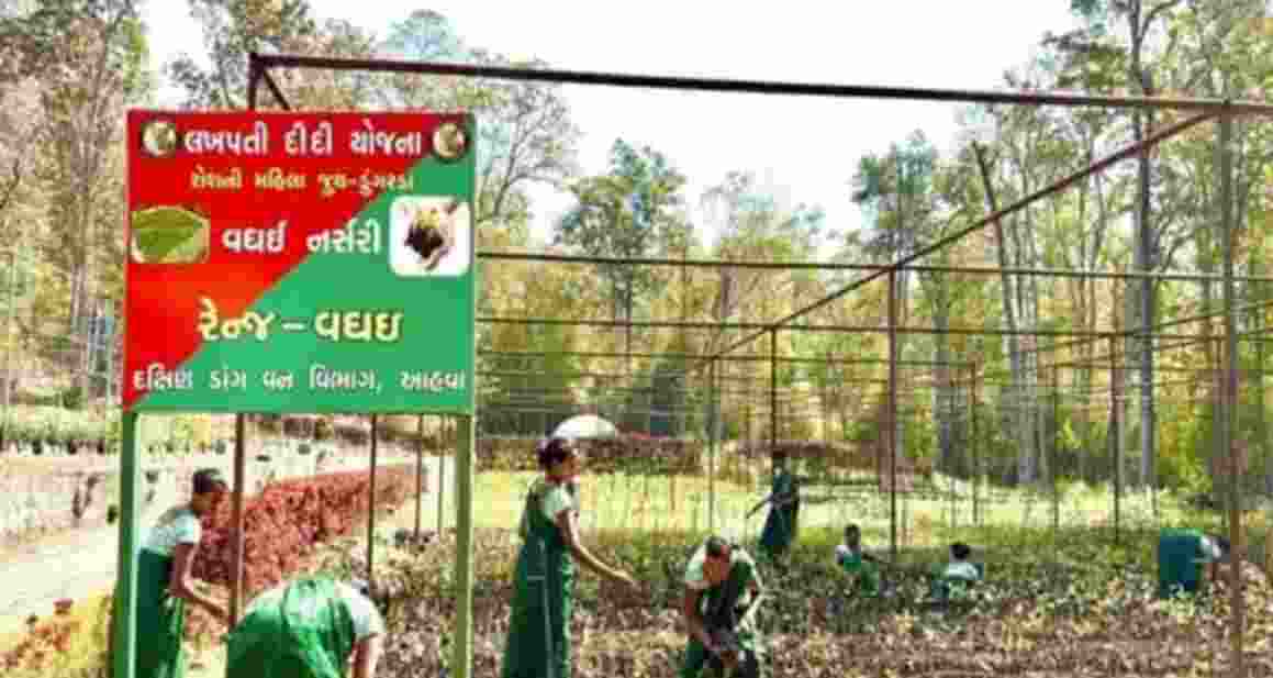 South Dang Forest Division in Gujarat successfully implemented the Lakhpati Didi Yojana, empowering the tribal women through sustainable livelihoods and self-employment 