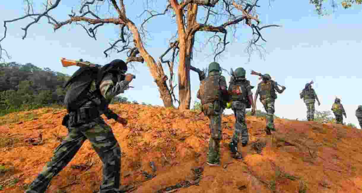 9 IEDs seized from Maoist dumps in Dhamtari forest