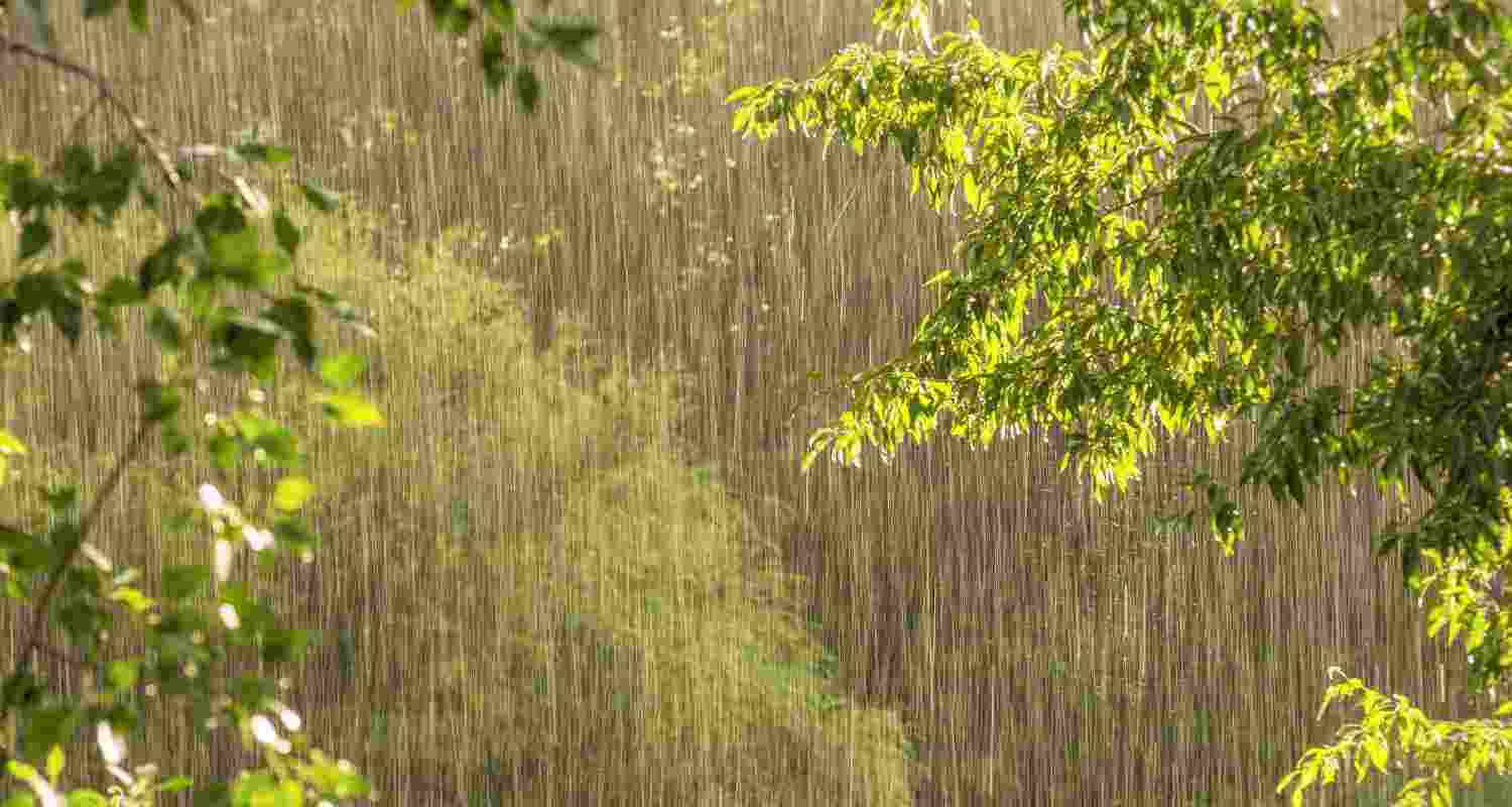 Rain hits Jammu and Kashmir plains while fresh snowfall occurs in Kashmir Valley’s higher reaches as a western disturbance brings precipitation after a dry spell.