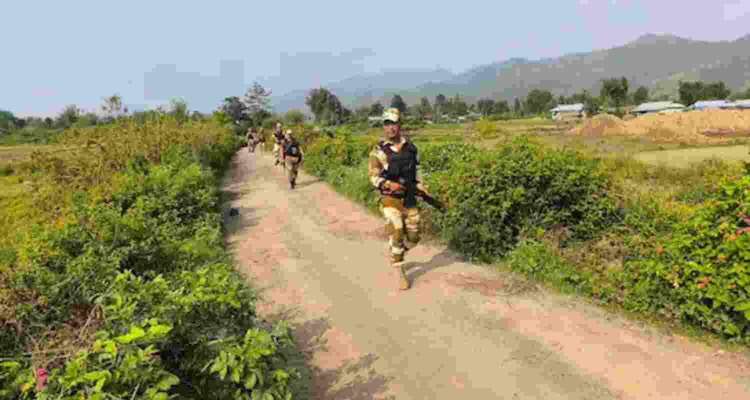 A representative image.