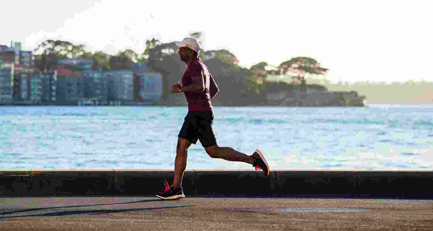 Meet the gut bacteria that neutralise harmful lactate