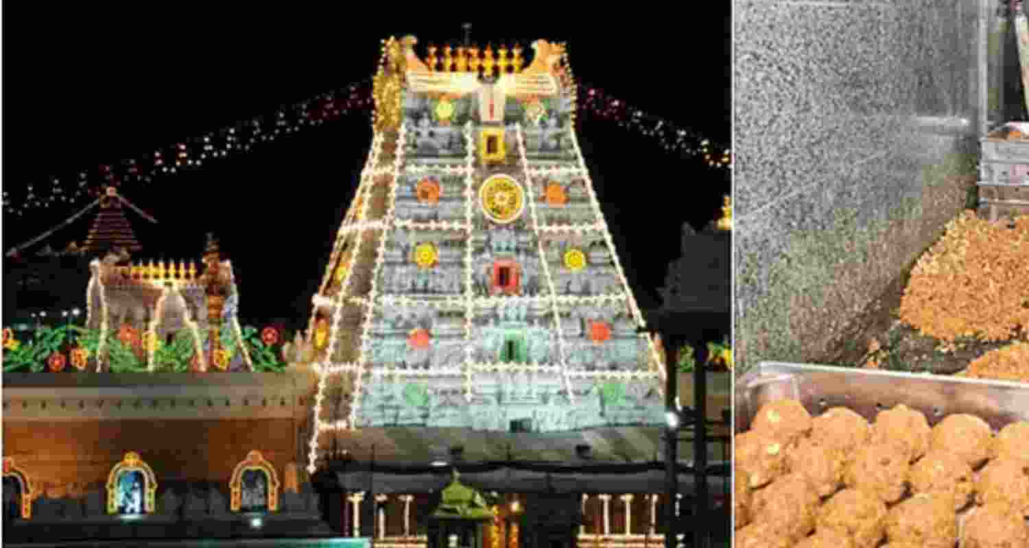 The SIT probe unearths that as early as May 2022, former TTD Chairman YV Subba Reddy had directed the dispatch of four samples of ghee to the CFTRI in Mysuru. This was already a tad fishy, since TTD’s own laboratories had already cleared the very same tankers of any contamination. The SIT probe unearths that as early as May 2022, former TTD Chairman YV Subba Reddy had directed the dispatch of four samples of ghee to the CFTRI in Mysuru. This was already a tad fishy, since TTD’s own laboratories had already cleared the very same tankers of any contamination.