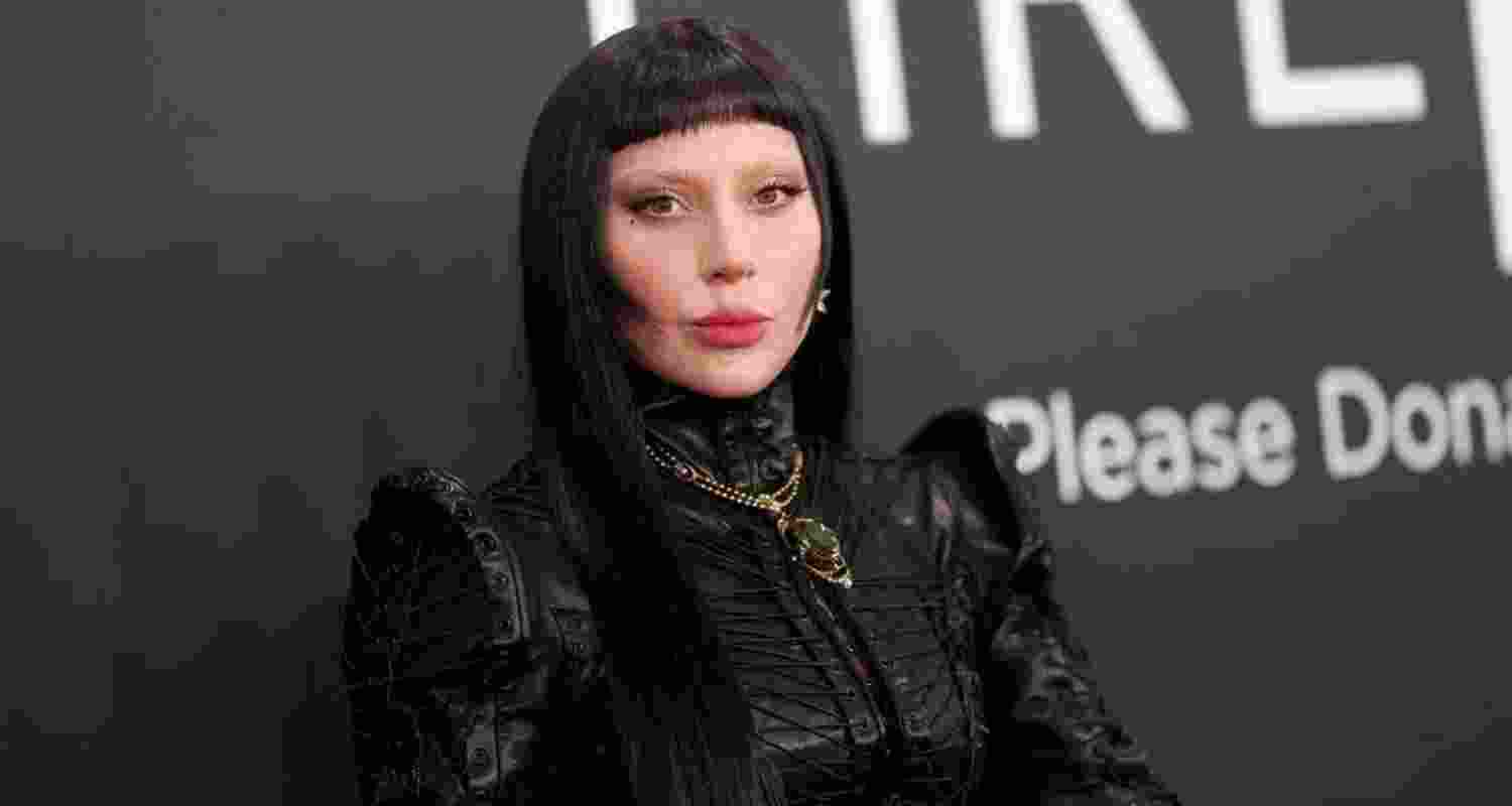 Lady Gaga halts Mayhem Ball concert after accident