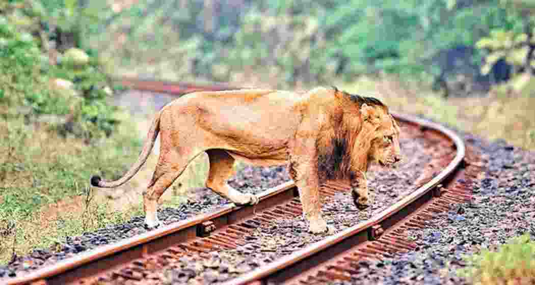 Image for representative use only.