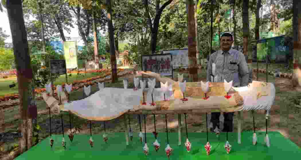 The Mahabharata Vatika in Haldwani: A repository of ancient wisdom with 37 plant species from the epic, blending mythology, history, and environmental conservation.