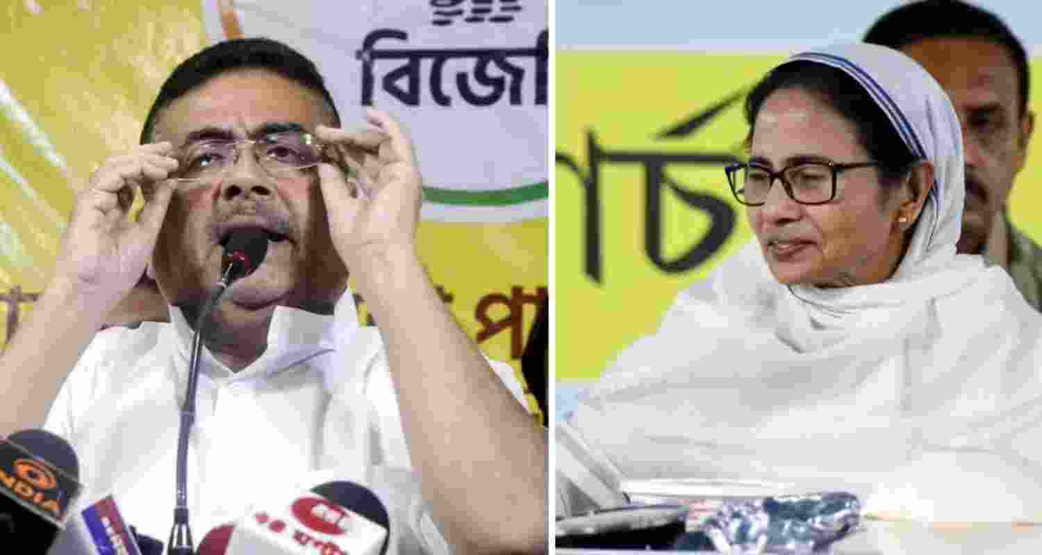 A representative image. A representative image.