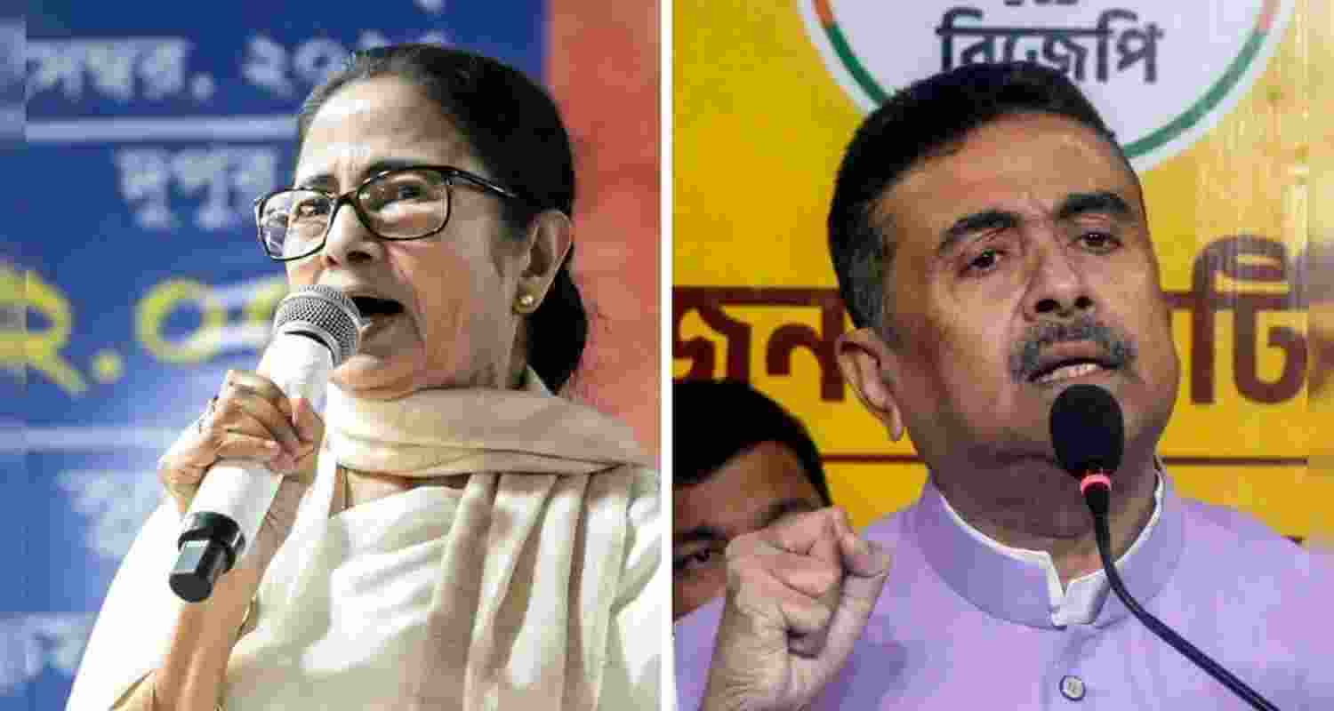 A representative image.