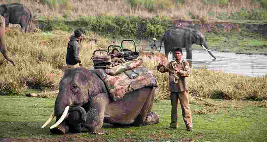 Representational image.