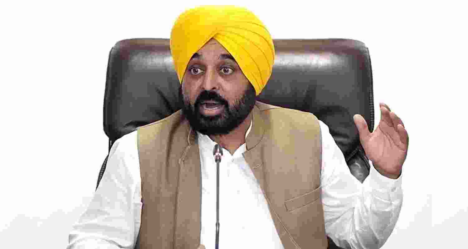 Punjab Chief Minister Bhagwant Mann - file image.