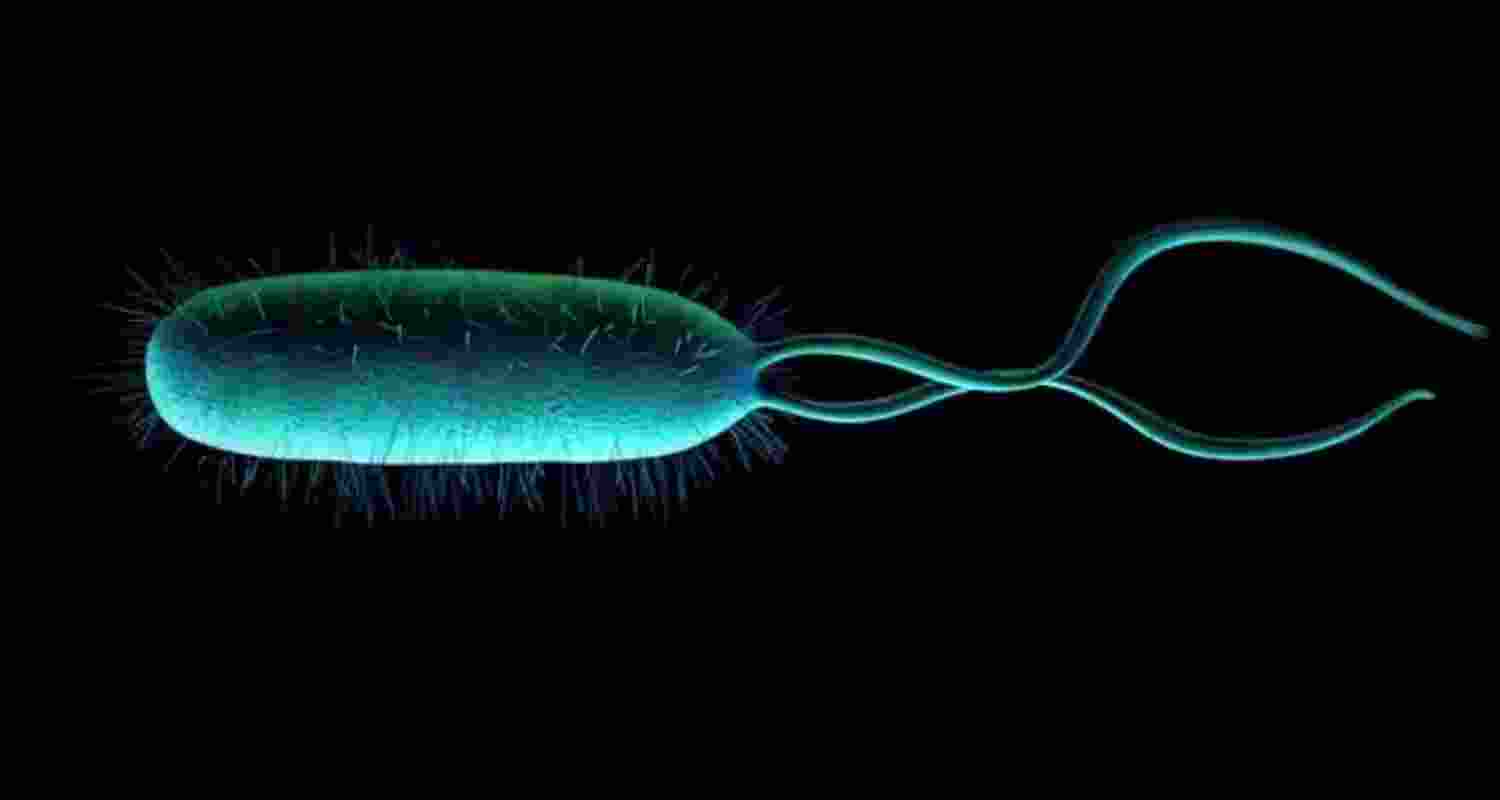 Representational image.