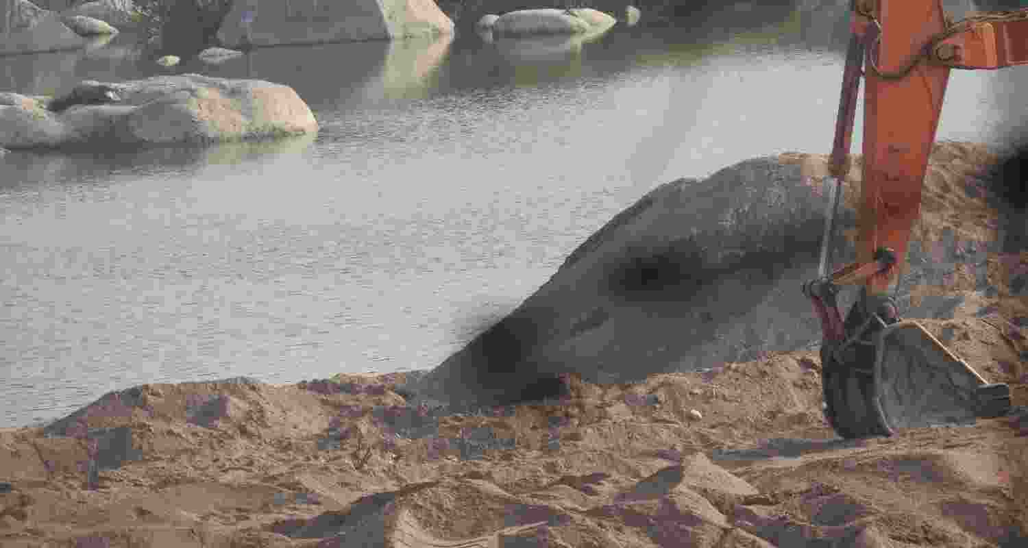 Representational image.