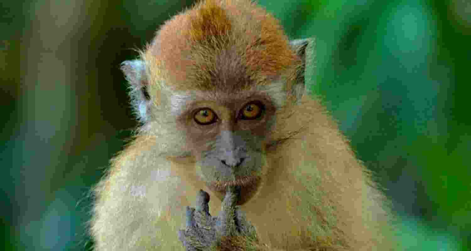 Representational image.