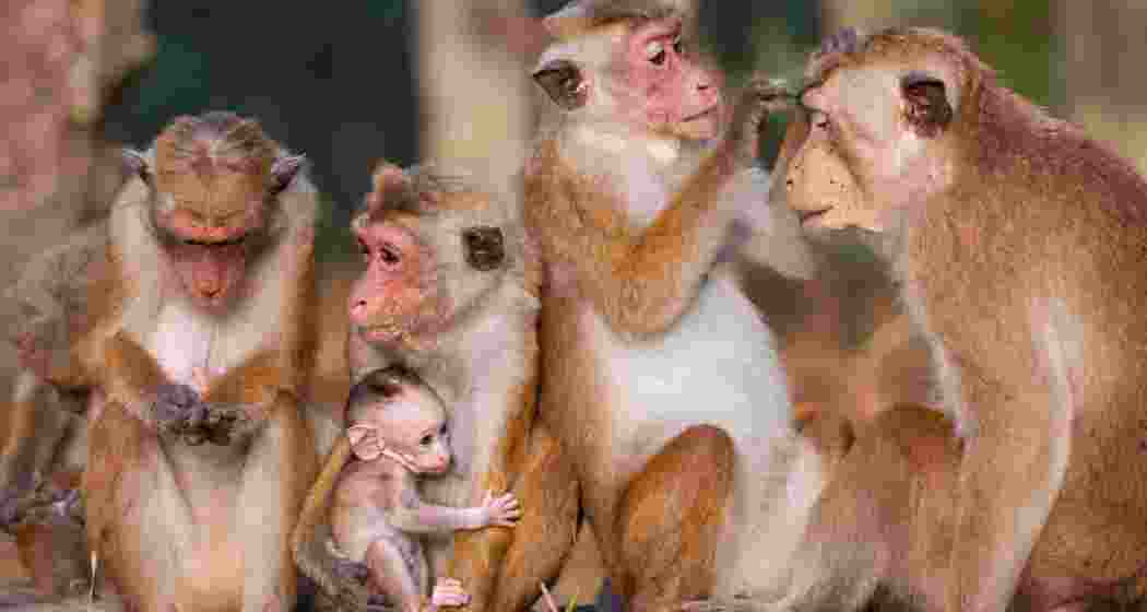 Image for representative use only.