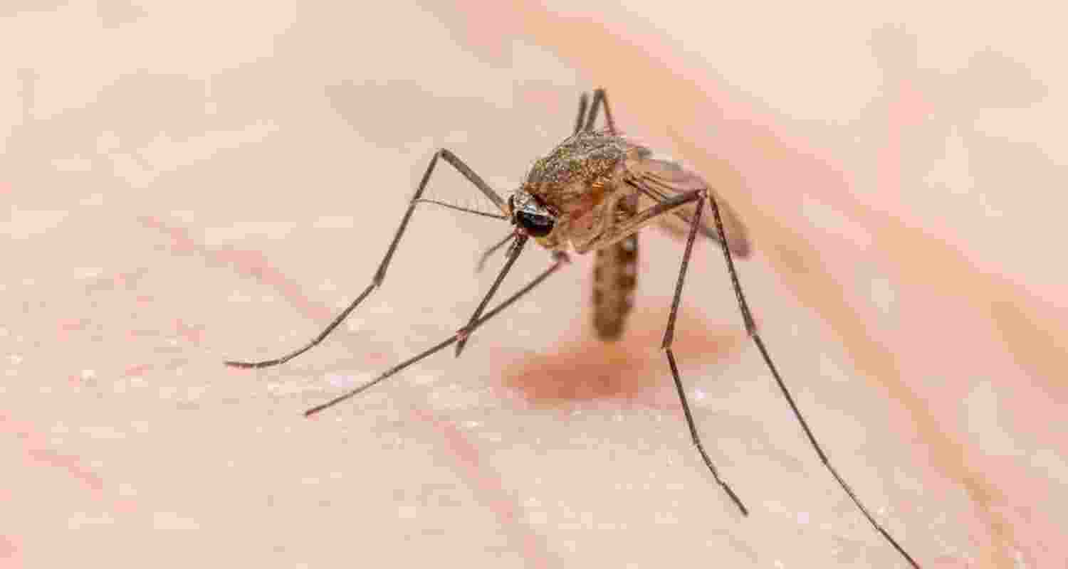 Image for representative use.