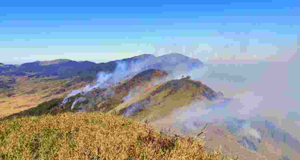 The wildfire has engulfed Nagaland’s Dzukou Valley, and is now spreading toward Mount Esii in Manipur.