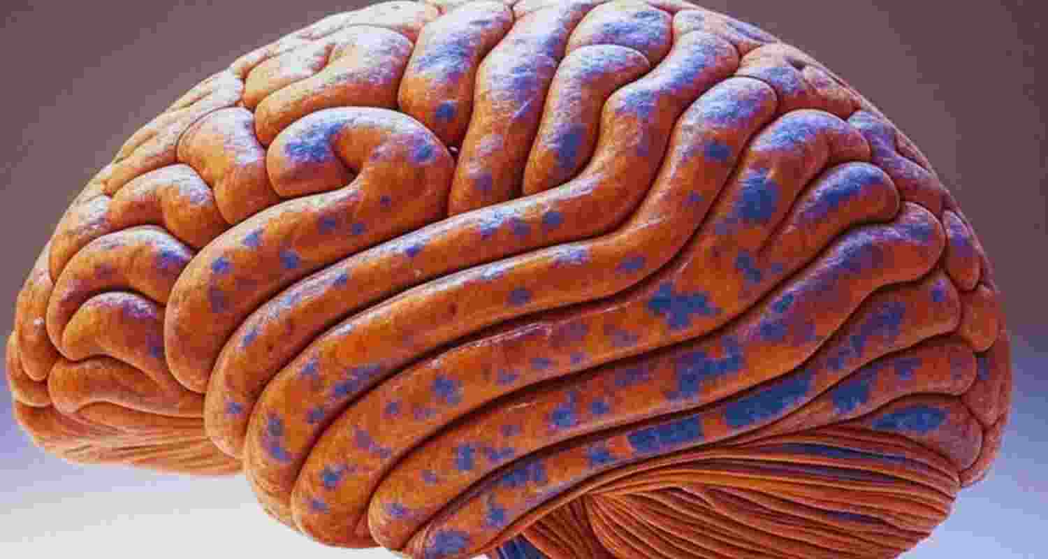 How brain injuries affect impulse and influence?