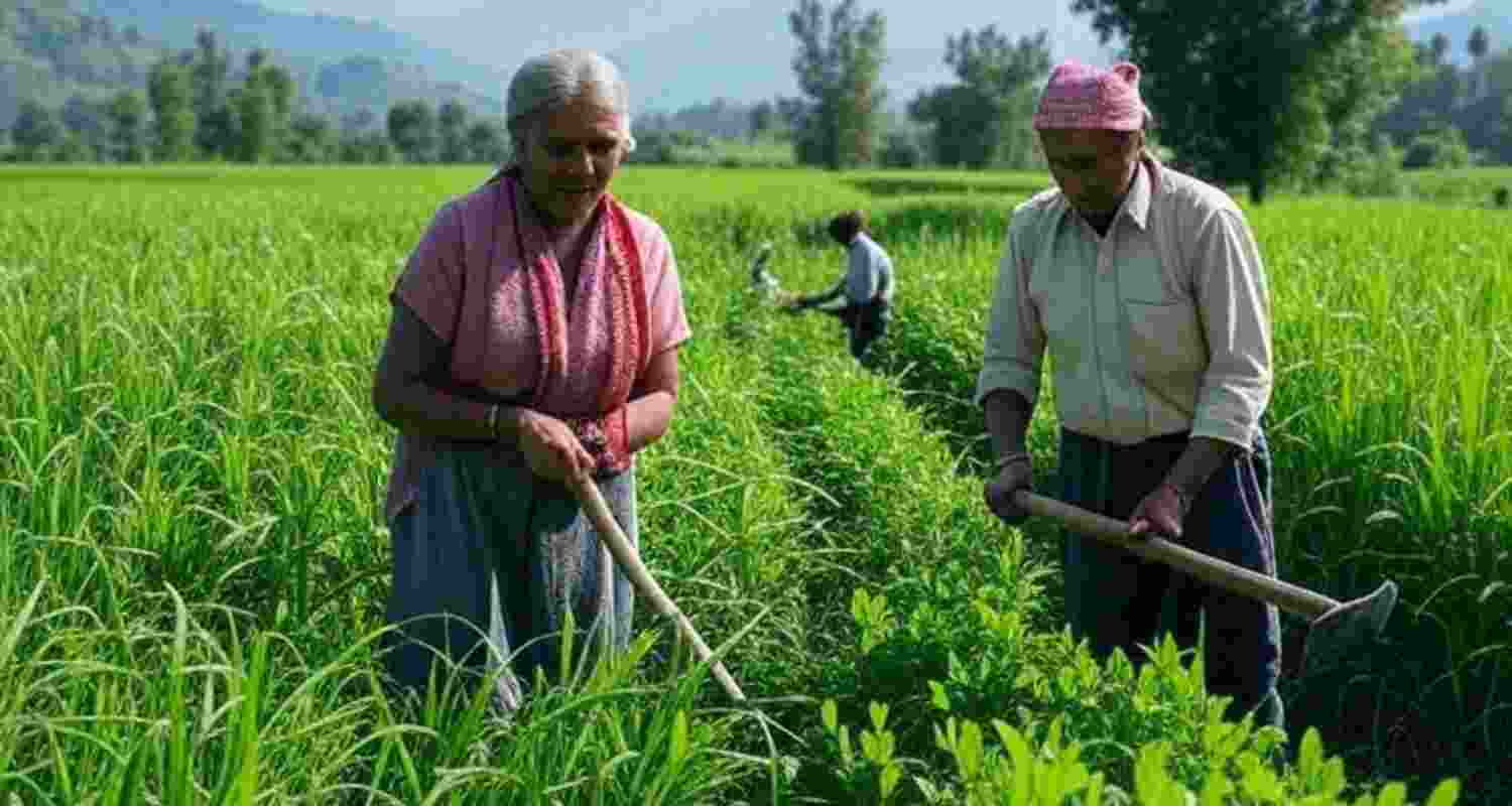 Representative Image. 