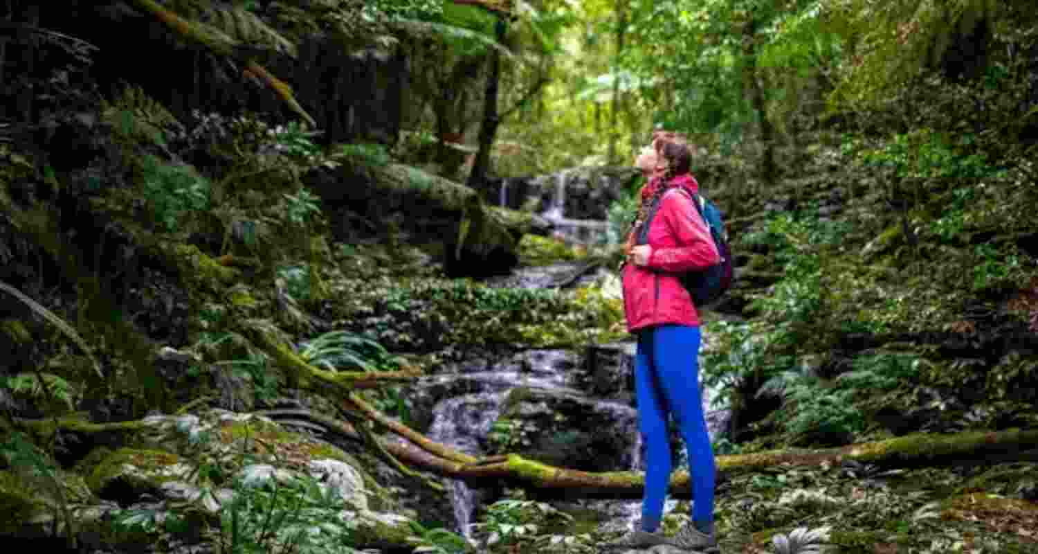 Representational image.