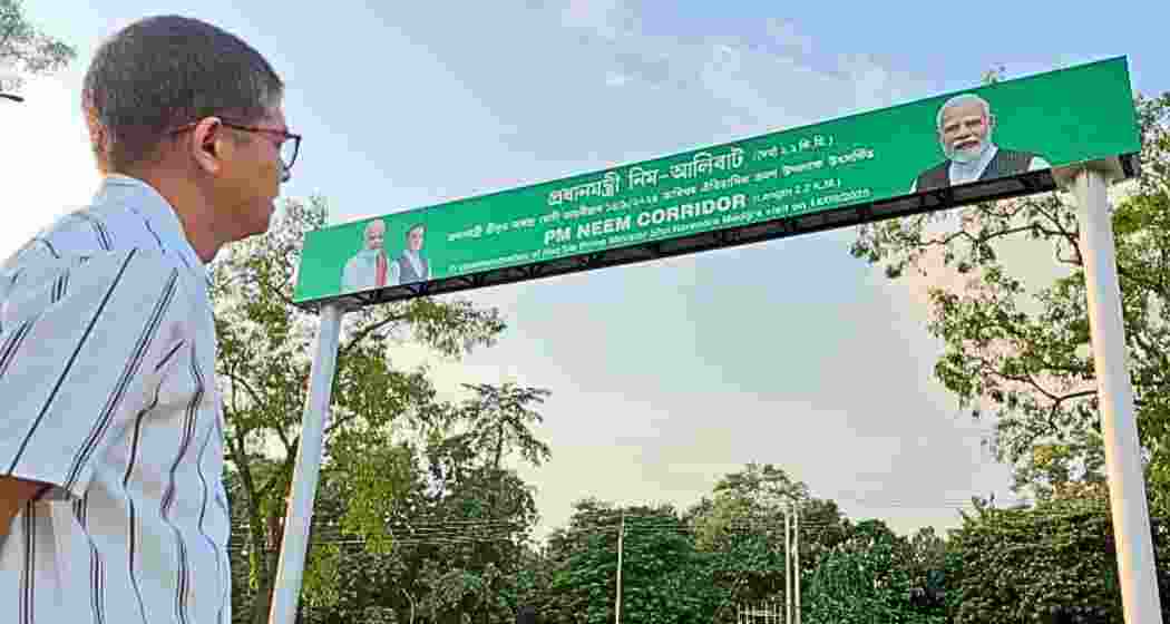 A man observes the 2.6-km Neem-lined corridor entrance.