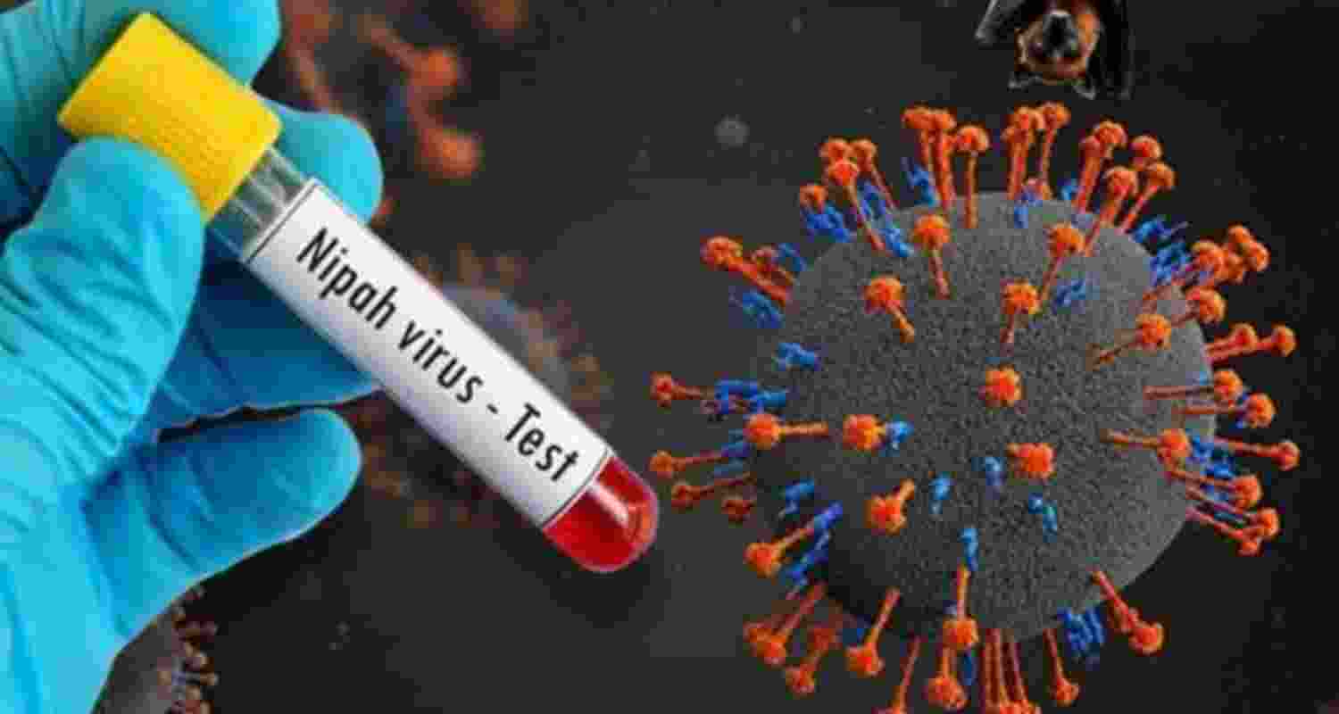 Kerala on alert after Nipah case confirmed in Palakkad