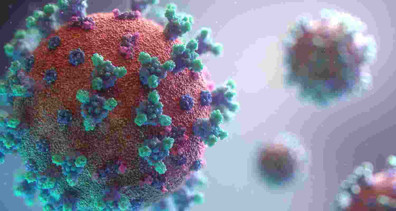 Nipah Virus vaccine invented. 