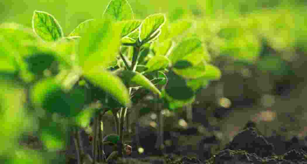 Image for representative use only.