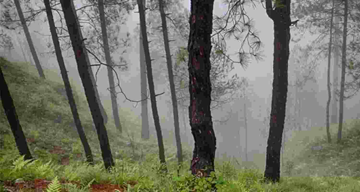 Representational image.