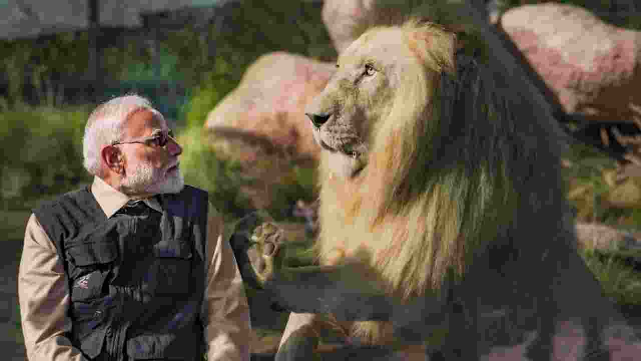 PM Mpdi looks at a lion in Vantara, near Gujarat’s Jamnagar.