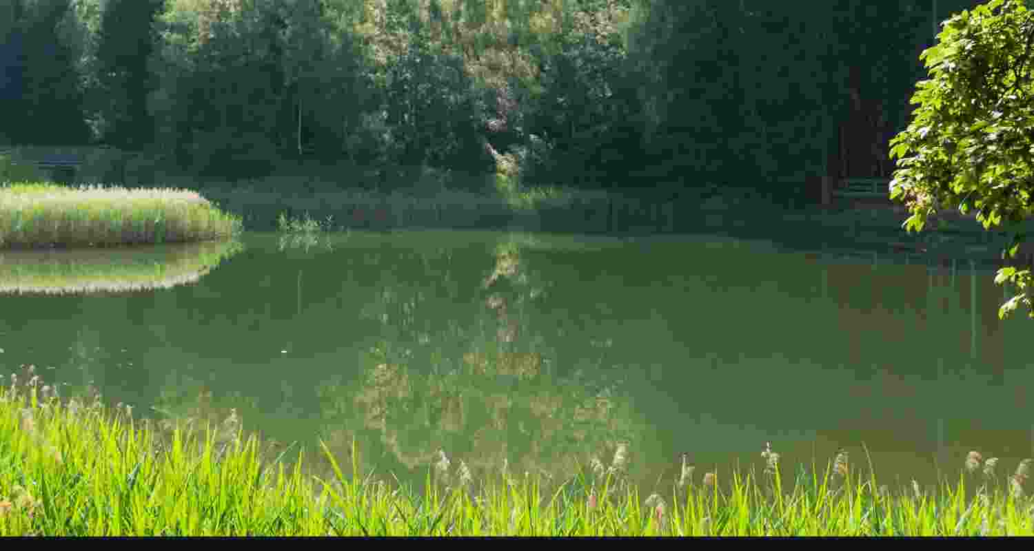 Representative Image. 