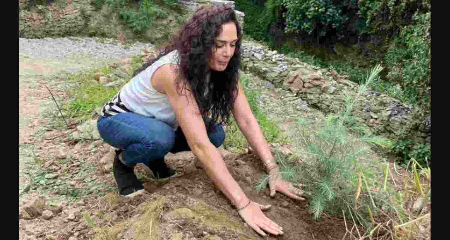 Preity Zinta plants cedar tree in Himachal, highlights 'giving back'