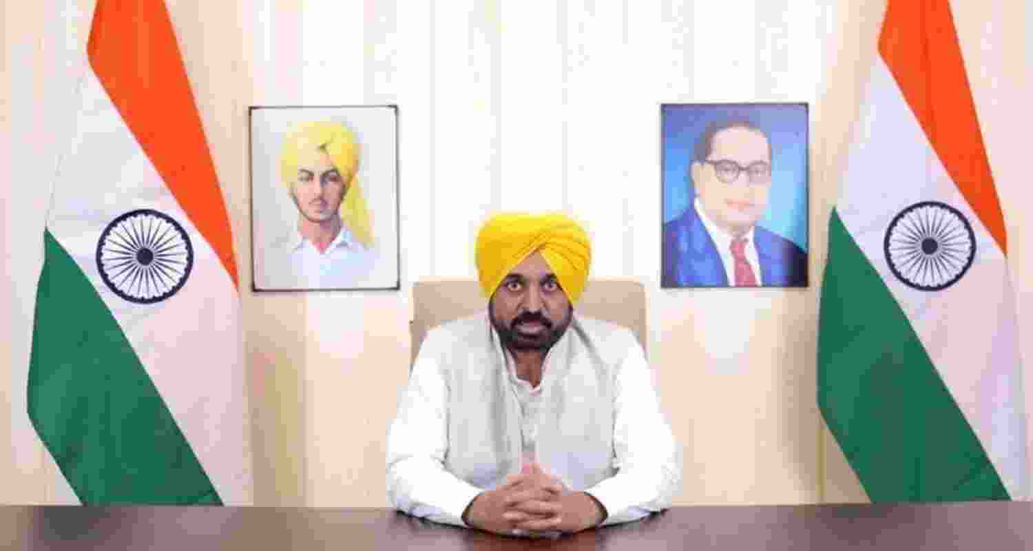 Punjab Chief Minister Bhagwant Mann - file image.