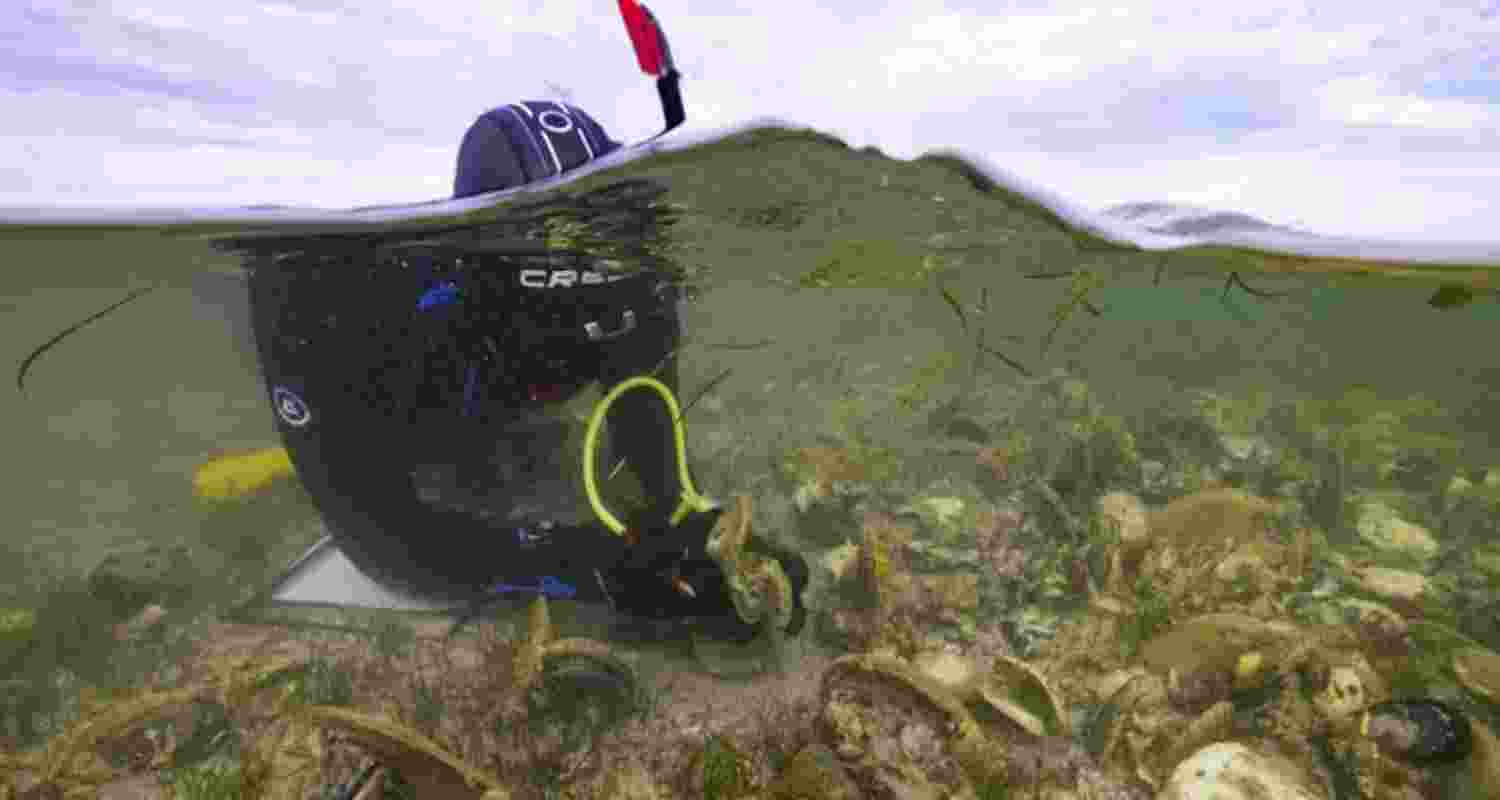 Eat oysters, save reefs