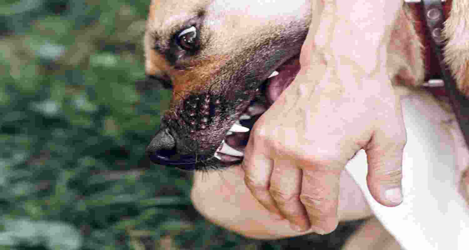 Representational image