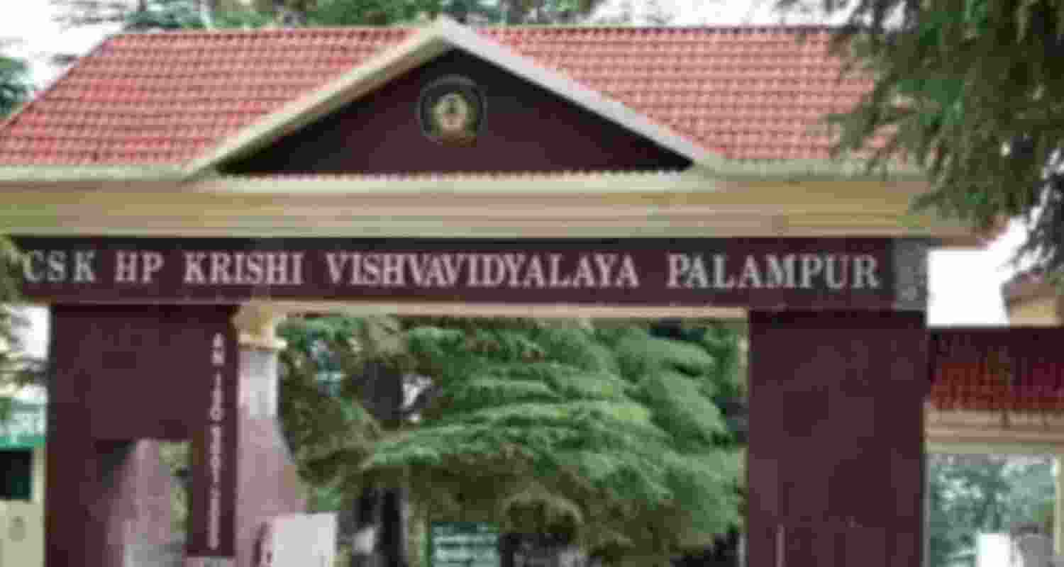 Representational image.