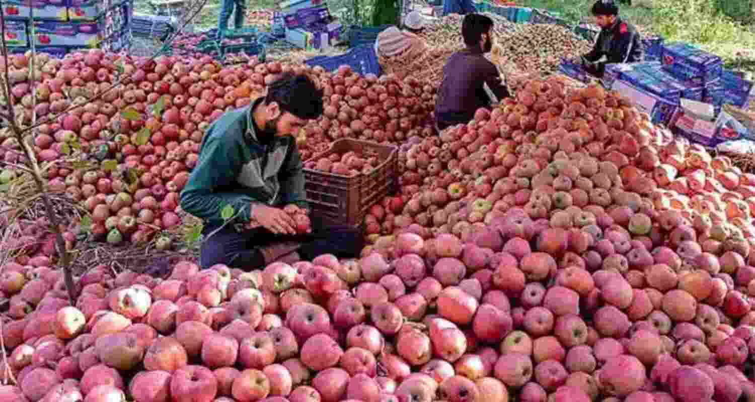 Representational image.