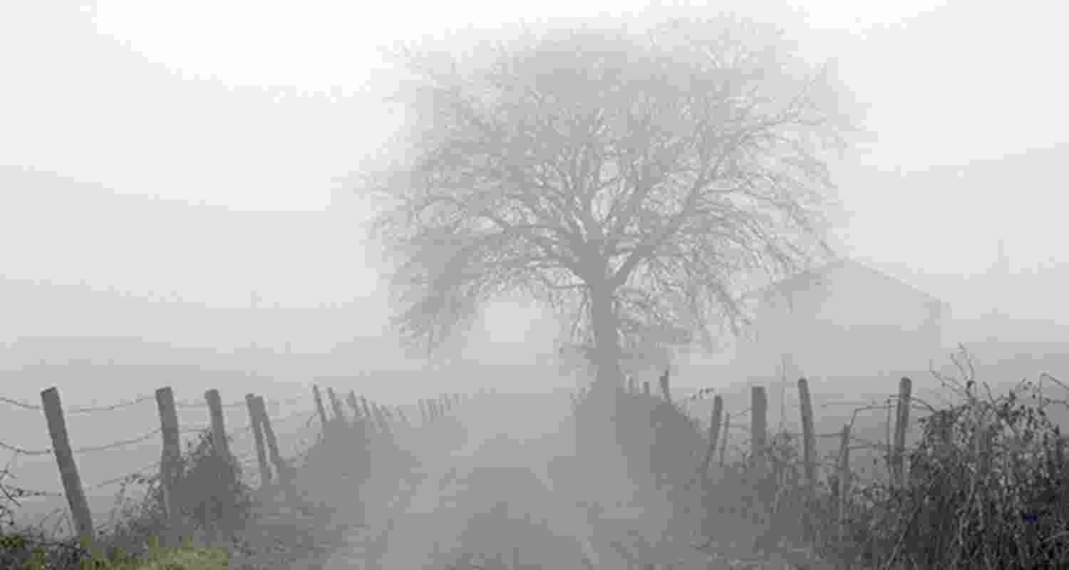 Representational image. 