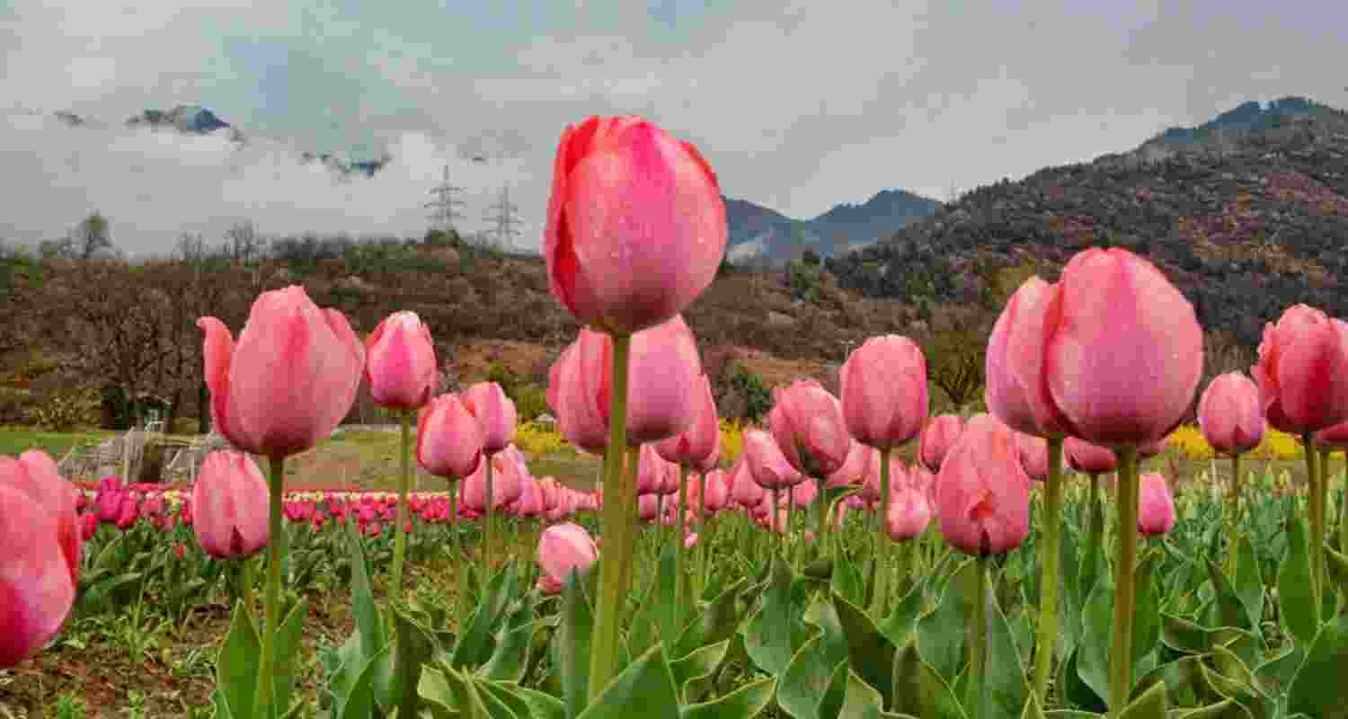 Representational image. 