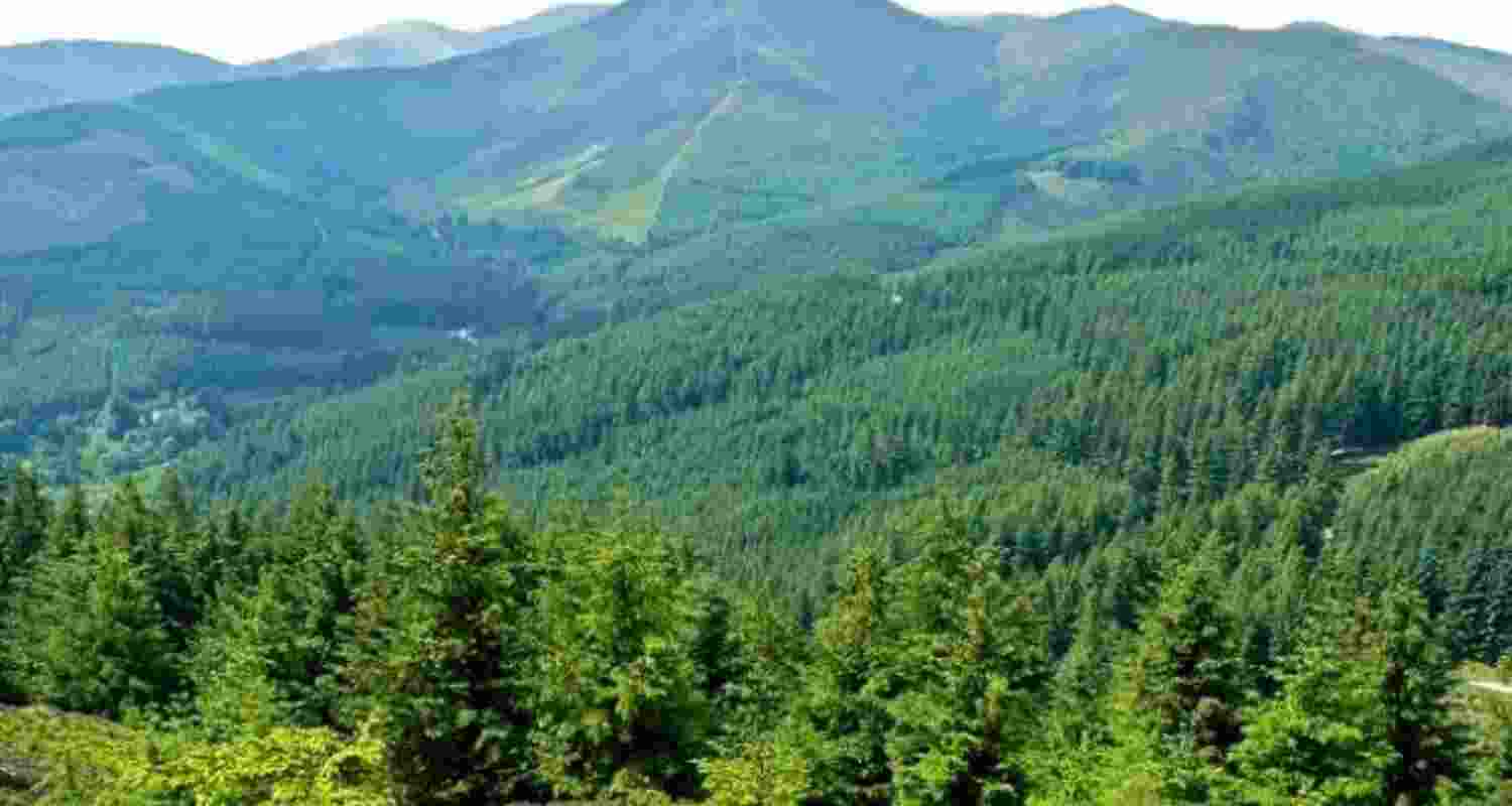 Representational image.