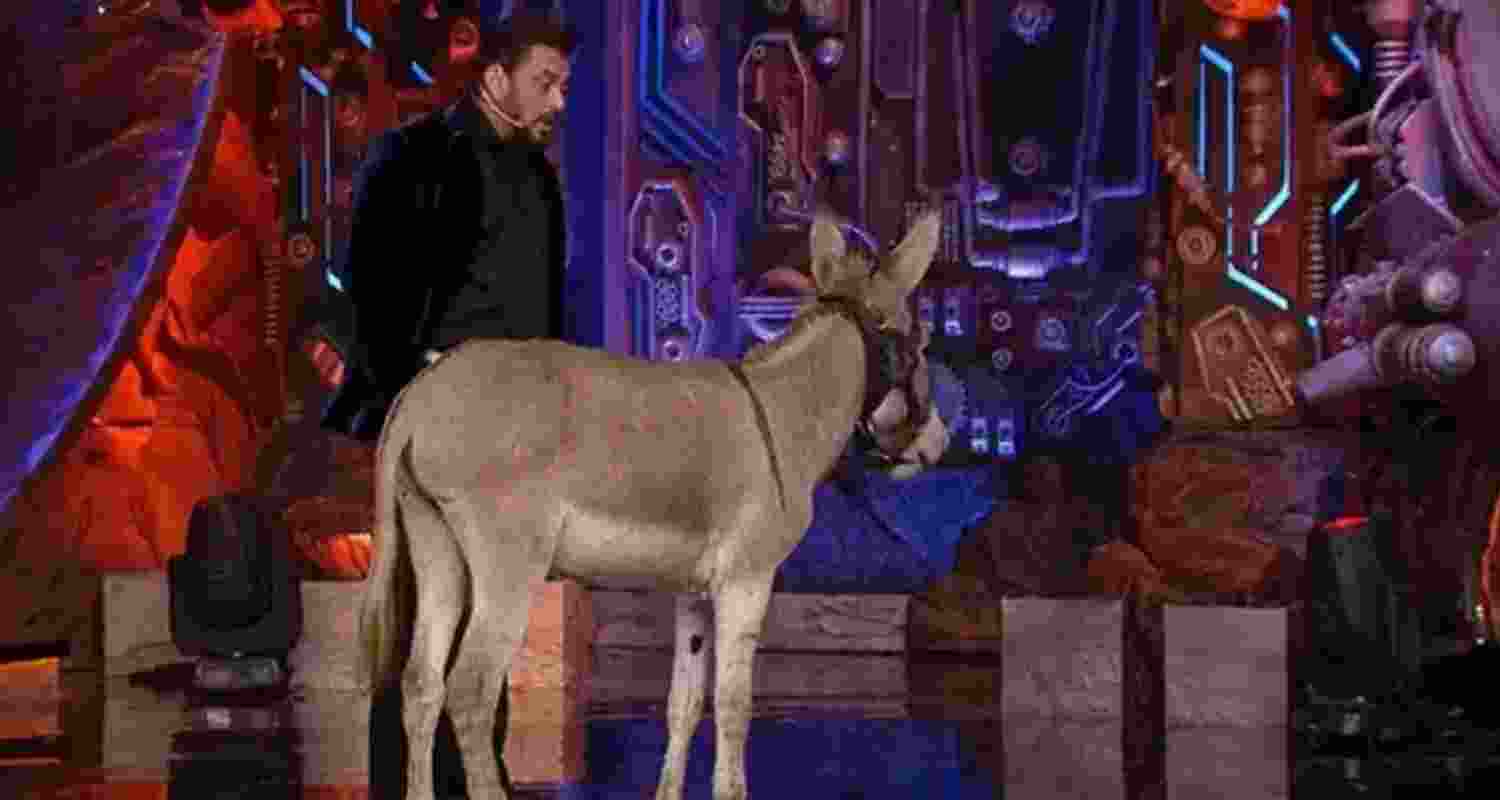PETA urges Salman Khan to remove donkey from 'Bigg Boss 18'
