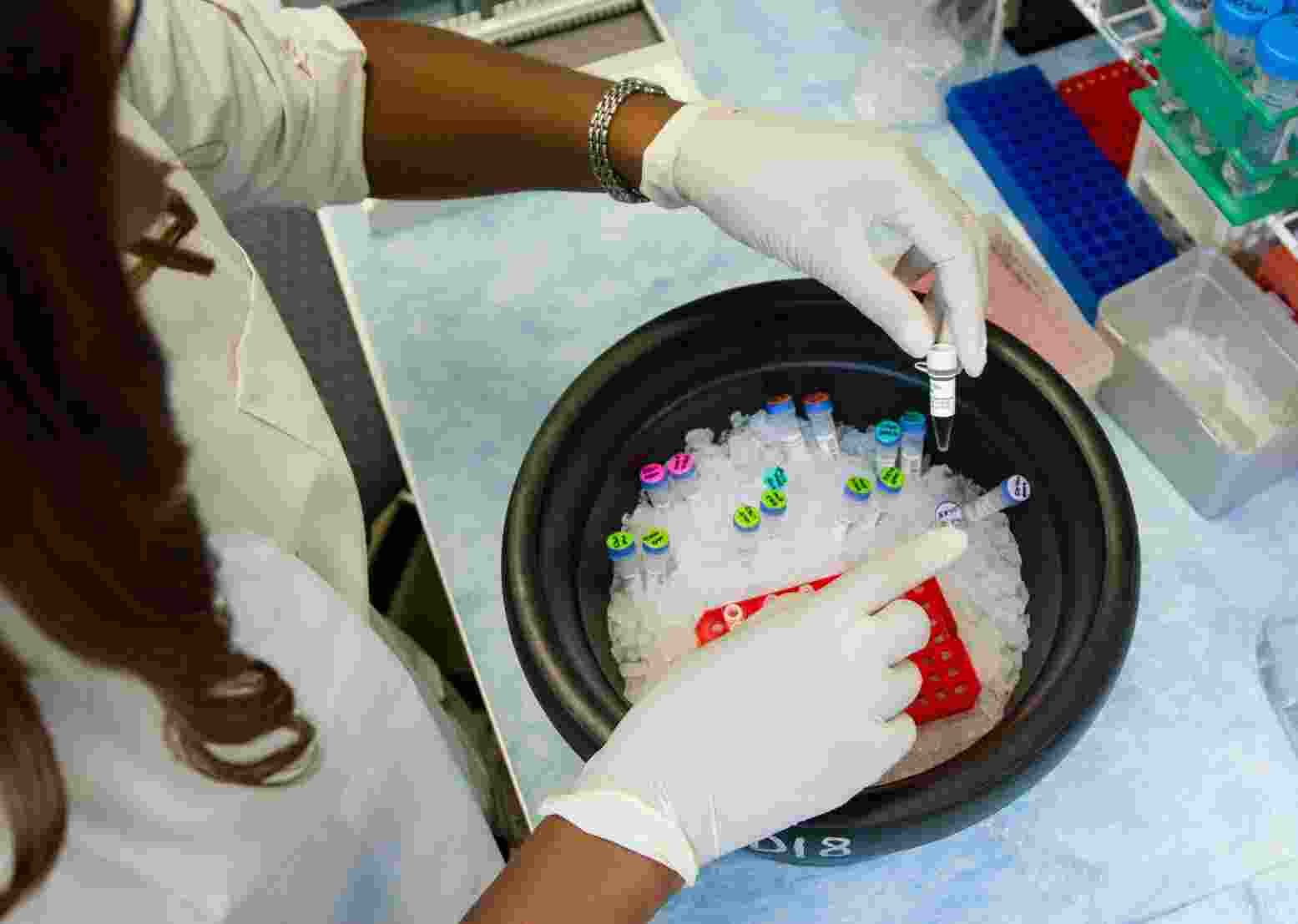 Pakistan’s Prime Minister Shehbaz Sharif has announced that about 1,000 students from the country will be sent to China for advanced training in the agriculture sector as it strives to increase output.