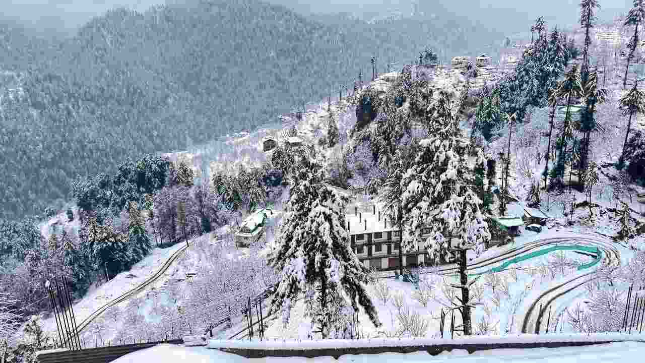 Snow covered roads were seen in Shimla, Himachal Pradesh. 
