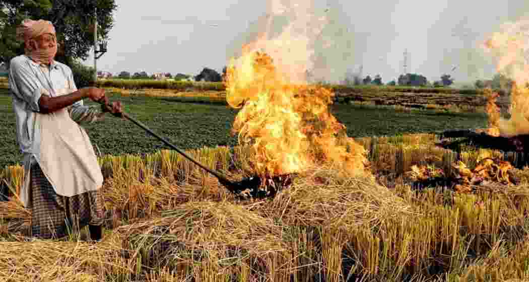 Image for representative use only.