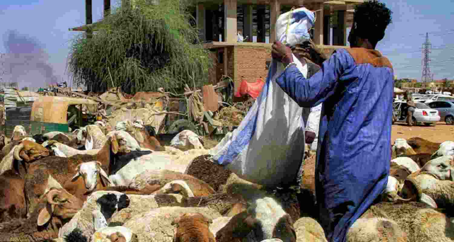 How warring factions gained influence in Sudan’s food system