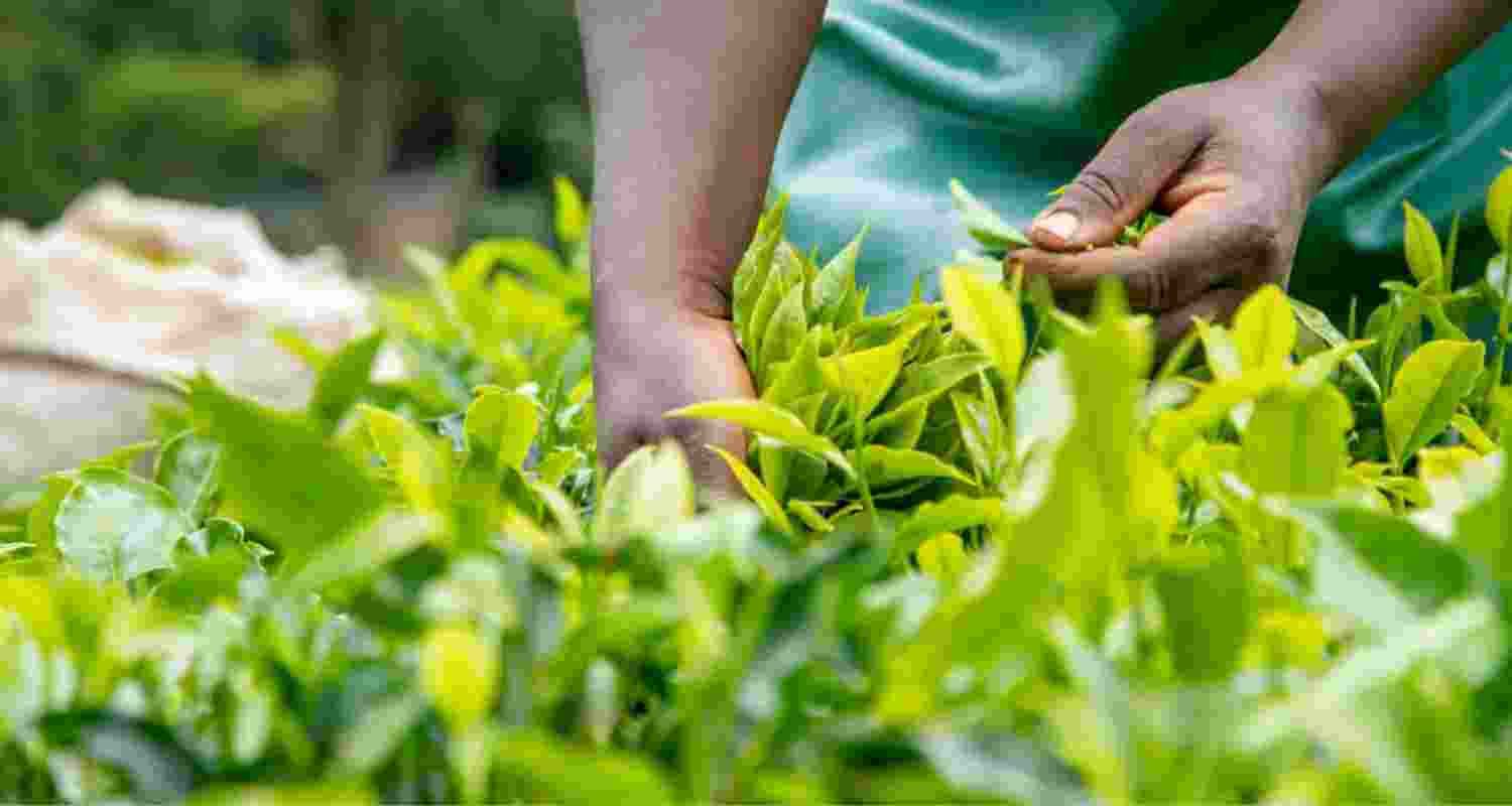 Representational image.