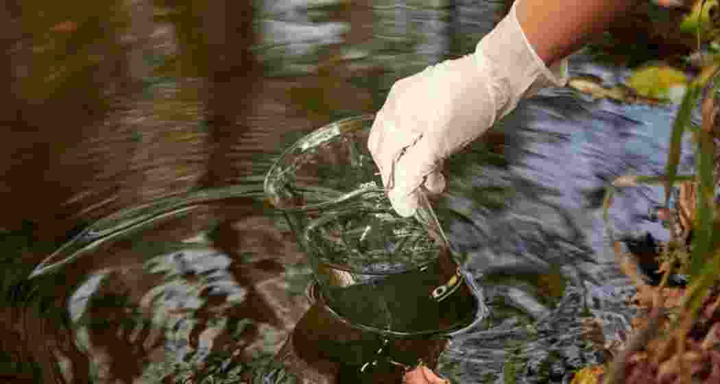 Scientists at IIT Guwahati have developed a cyanobacteria-based process that removes toxic lead from contaminated water. Representative image. Scientists at IIT Guwahati have developed a cyanobacteria-based process that removes toxic lead from contaminated water. Representative image.