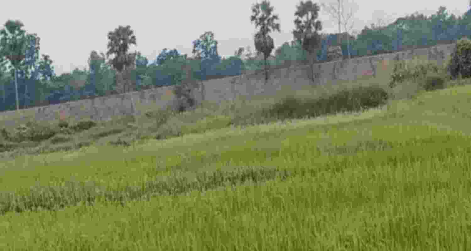 Tripura villagers raise alarm over Bangladesh embankment