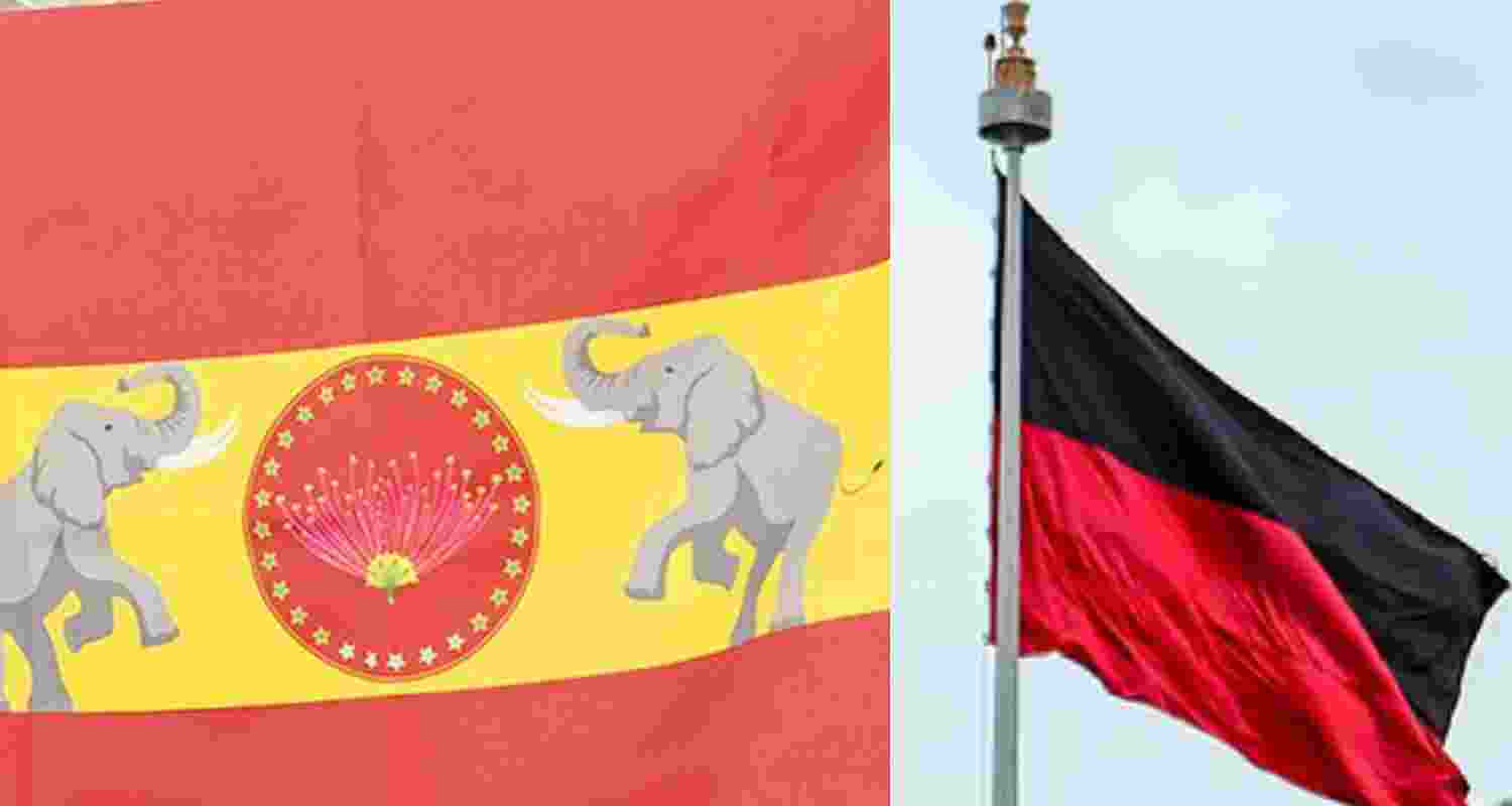 Flags of TVK and DMK.