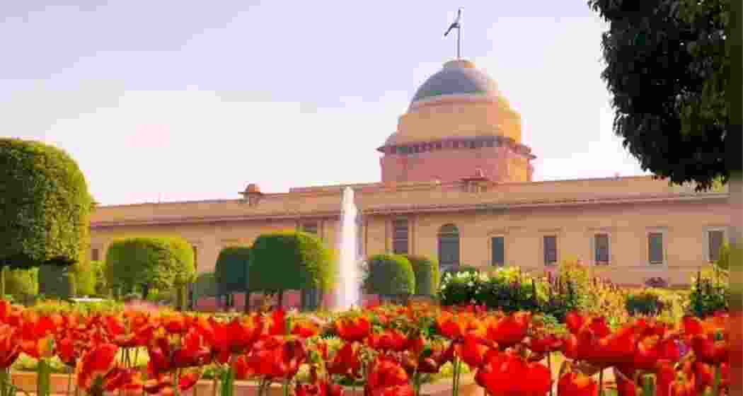 A glimpse of the Amrit Udyan at Rashtrapati Bhavan.